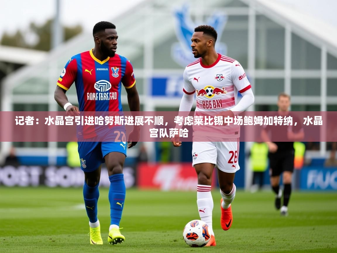 2025开云体育app安装记者：水晶宫引进哈努斯进展不顺，考虑莱比锡中场鲍姆加特纳，水晶宫队萨哈  第1张