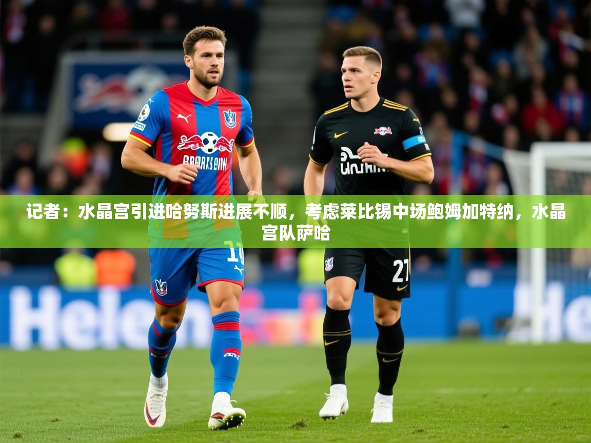 2025开云体育app安装记者：水晶宫引进哈努斯进展不顺，考虑莱比锡中场鲍姆加特纳，水晶宫队萨哈  第3张