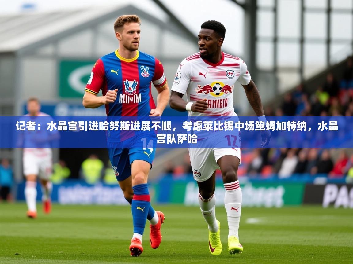 2025开云体育app安装记者：水晶宫引进哈努斯进展不顺，考虑莱比锡中场鲍姆加特纳，水晶宫队萨哈  第2张