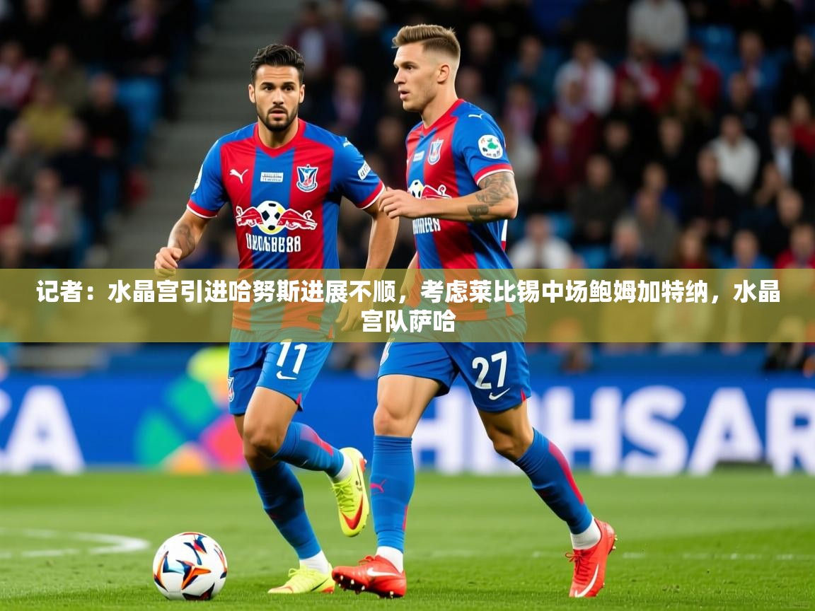 2025开云体育app安装记者：水晶宫引进哈努斯进展不顺，考虑莱比锡中场鲍姆加特纳，水晶宫队萨哈  第4张